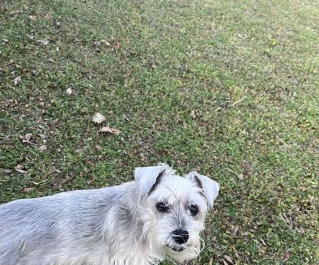 Labahn Veterinary Hospital