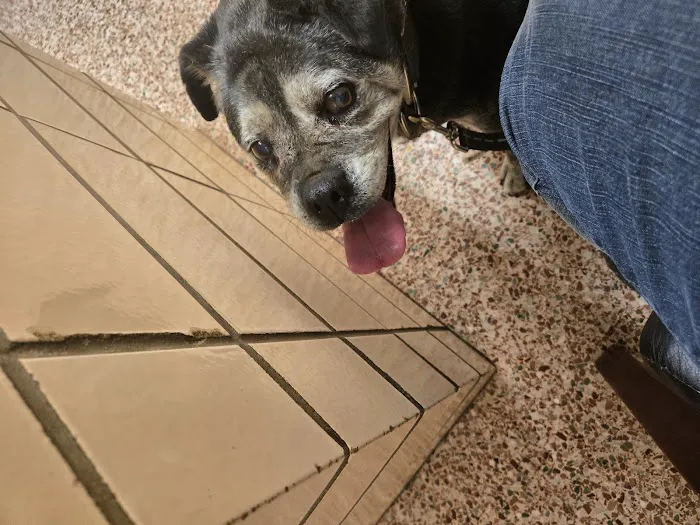 Labahn Veterinary Hospital Picture 6