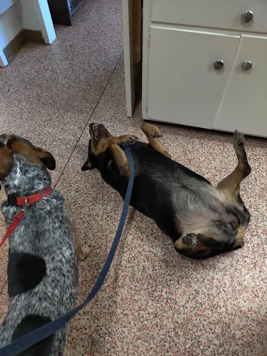 Labahn Veterinary Hospital Picture 8