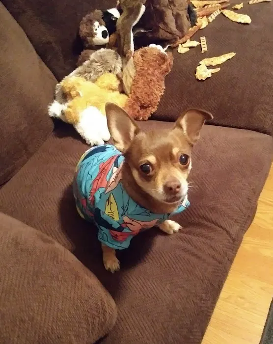 Labahn Veterinary Hospital Picture 7