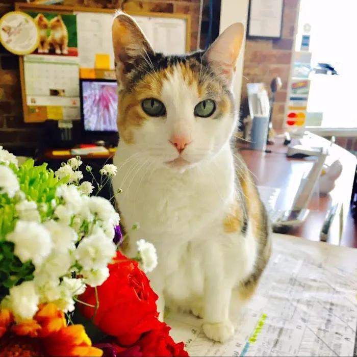 Labahn Veterinary Hospital Picture 5