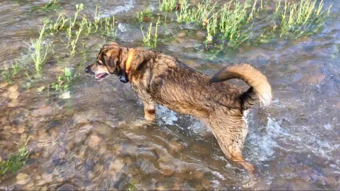 Labahn Veterinary Hospital Picture 9