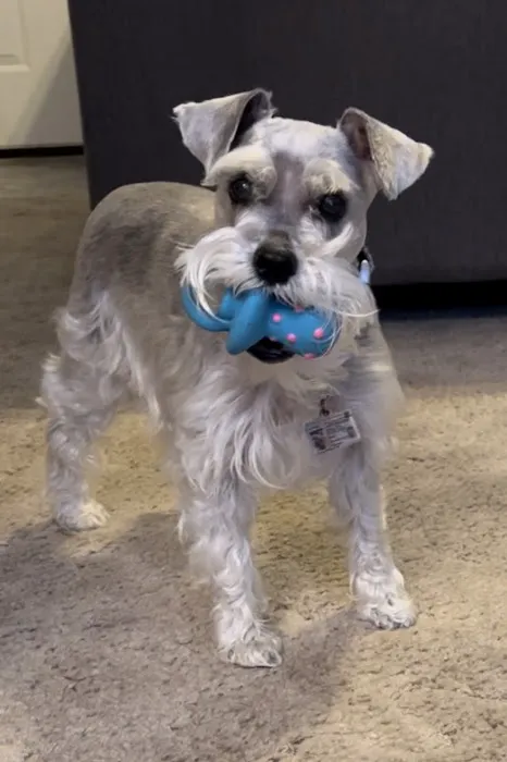 Labahn Veterinary Hospital: Adkins Cheryl DVM Picture 5