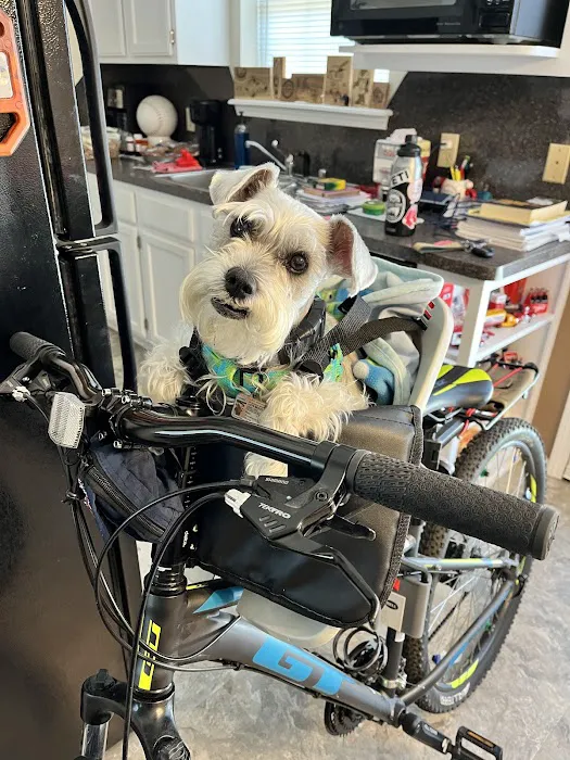 Labahn Veterinary Hospital: Adkins Cheryl DVM Picture 7