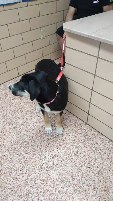 Labahn Veterinary Hospital: Adkins Cheryl DVM Picture 3