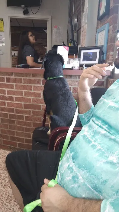 Labahn Veterinary Hospital: Adkins Cheryl DVM Picture 2