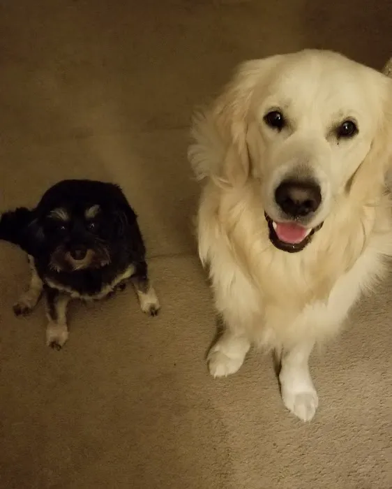 Labahn Veterinary Hospital: Adkins Cheryl DVM Picture 10