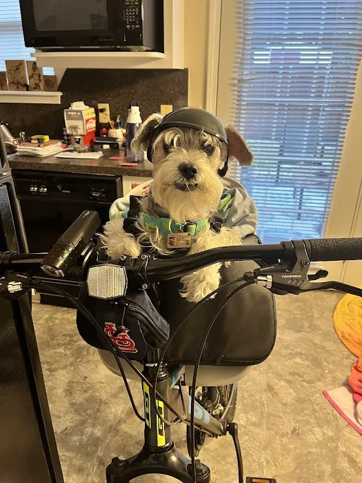 Labahn Veterinary Hospital: Adkins Cheryl DVM Picture 9