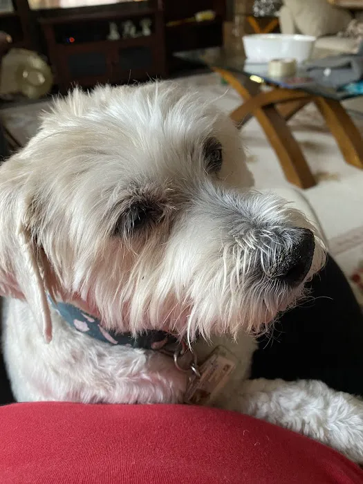 Labahn Veterinary Hospital: Adkins Cheryl DVM Picture 8