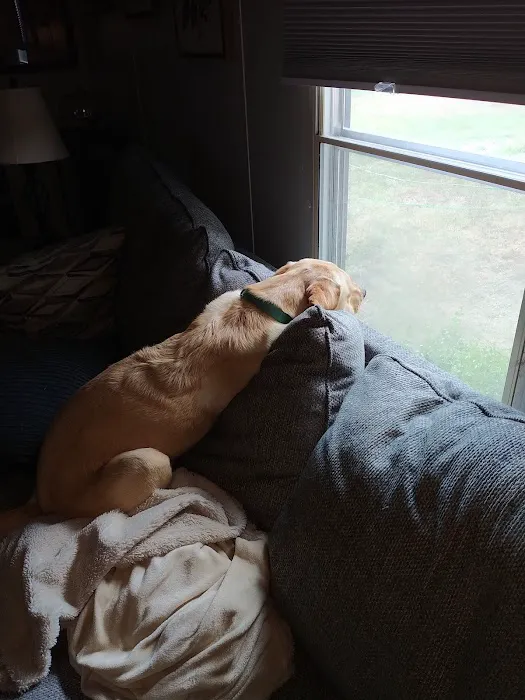 Pointer Trail Animal Clinic Picture 2