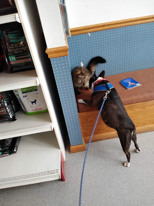 Pointer Trail Animal Clinic Picture 6