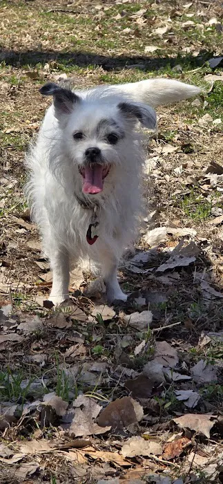 Pointer Trail Animal Clinic Picture 3