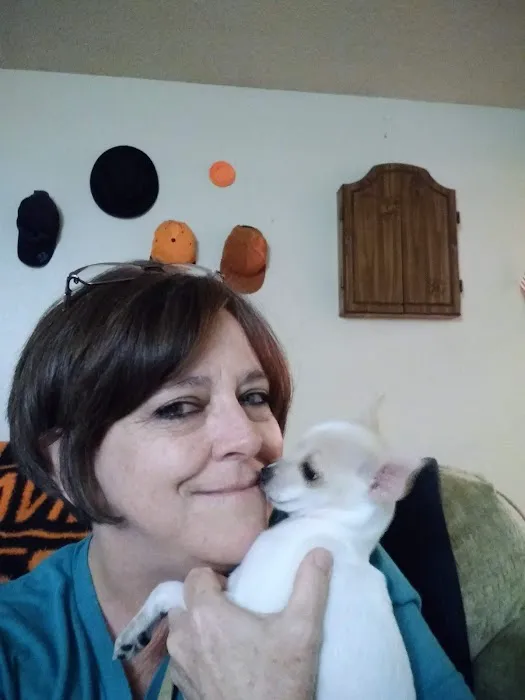 Pointer Trail Animal Clinic Picture 5