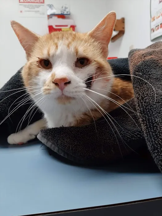 Pointer Trail Animal Clinic Picture 4