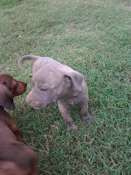 Davenport Veterinary Hospital Picture 4