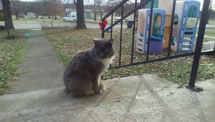 Davenport Veterinary Hospital Picture 3