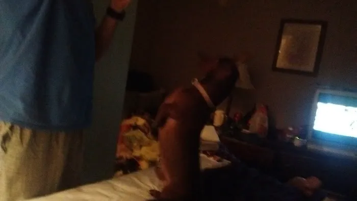 Davenport Veterinary Hospital Picture 2