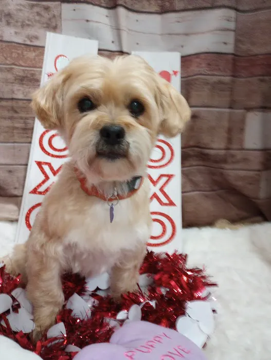 Davenport Veterinary Hospital Picture 5