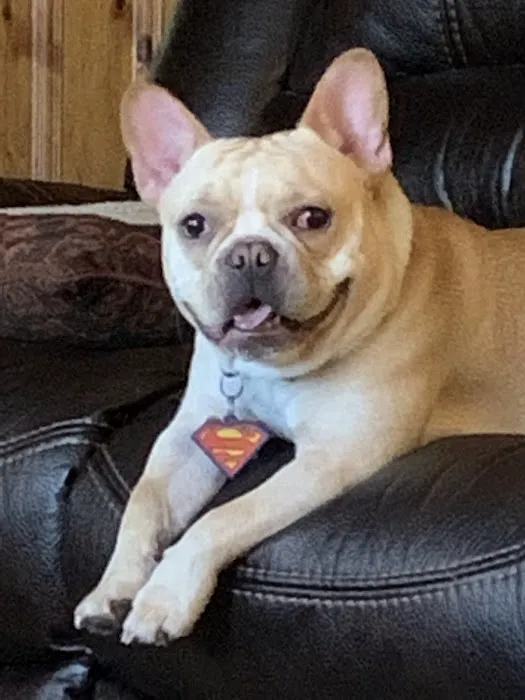 Davenport Veterinary Hospital Picture 1