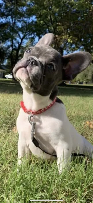 Davenport Veterinary Hospital Picture 6