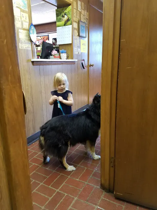 Remer Veterinary Hospital Picture 9