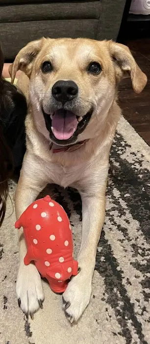 Remer Veterinary Hospital Picture 7