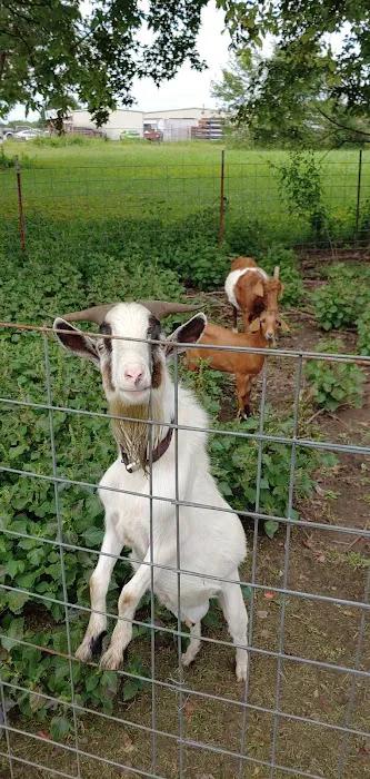 Spiro Veterinary Clinic Inc Picture 2