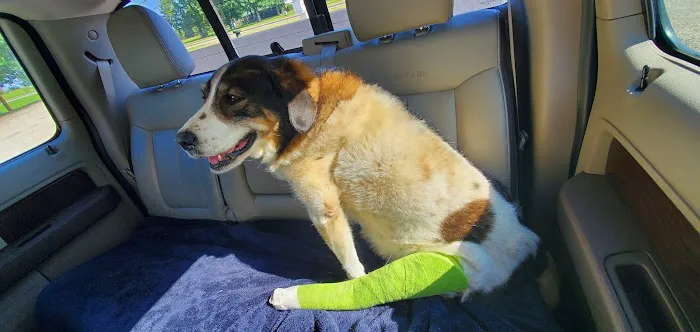 Spiro Veterinary Clinic Inc Picture 1