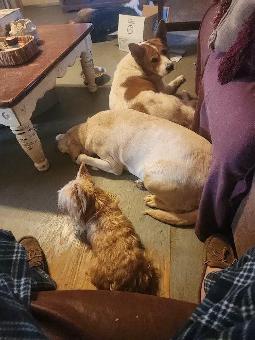 Spiro Veterinary Clinic Inc Picture 6