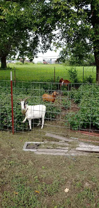 Spiro Veterinary Clinic Inc Picture 3