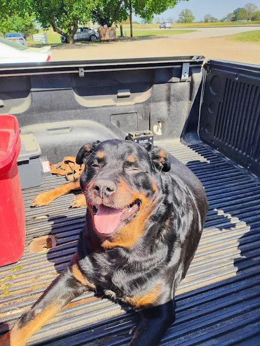 Spiro Veterinary Clinic Inc Picture 8