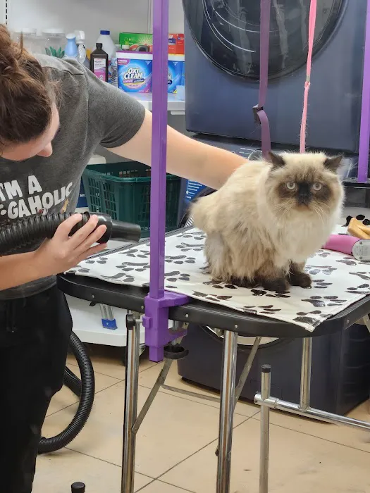 Haskell County Animal Clinic Picture 1