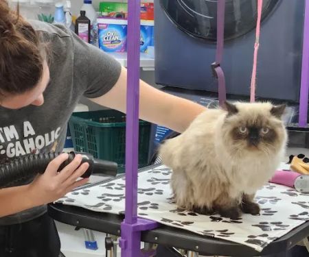 Haskell County Animal Clinic