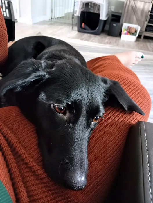 Haskell County Animal Clinic Picture 3