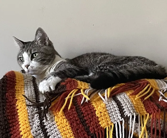 Fenton Animal Picture 1