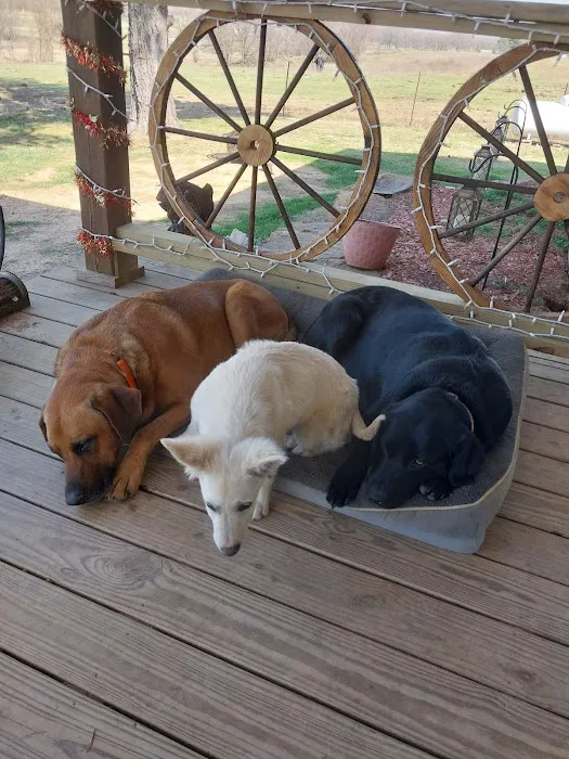 Fenton Animal Picture 4