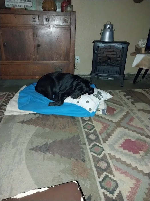 Fenton Animal Picture 6