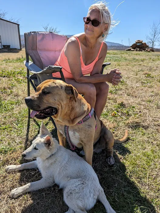 Fenton Animal Picture 9