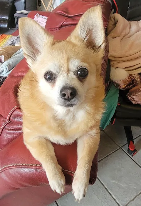 Fort Smith Veterinary Clinic Picture 1