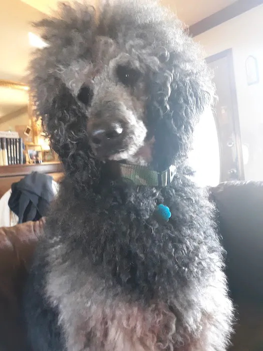 Fort Smith Veterinary Clinic Picture 3