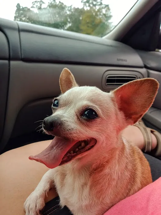 Fort Smith Veterinary Clinic Picture 4