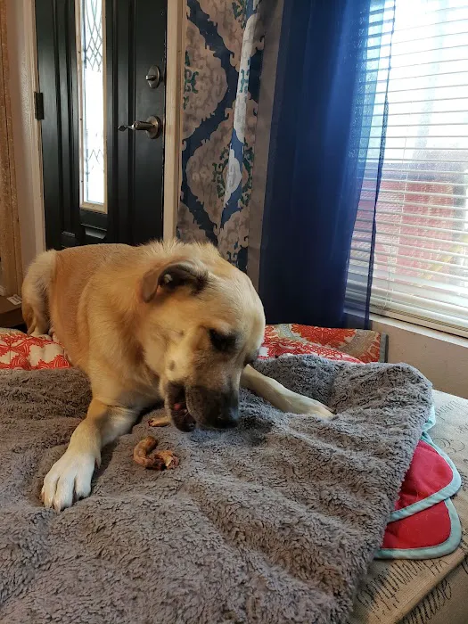 Fort Smith Veterinary Clinic Picture 5