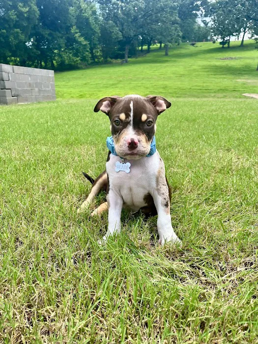 Arkansas Veterinary Clinic Picture 3