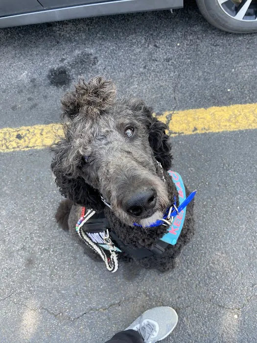 Arkansas Veterinary Clinic Picture 2