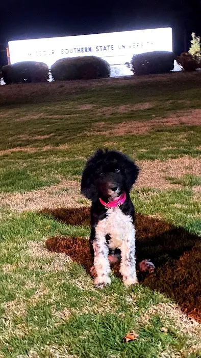 Arkansas Veterinary Clinic Picture 1