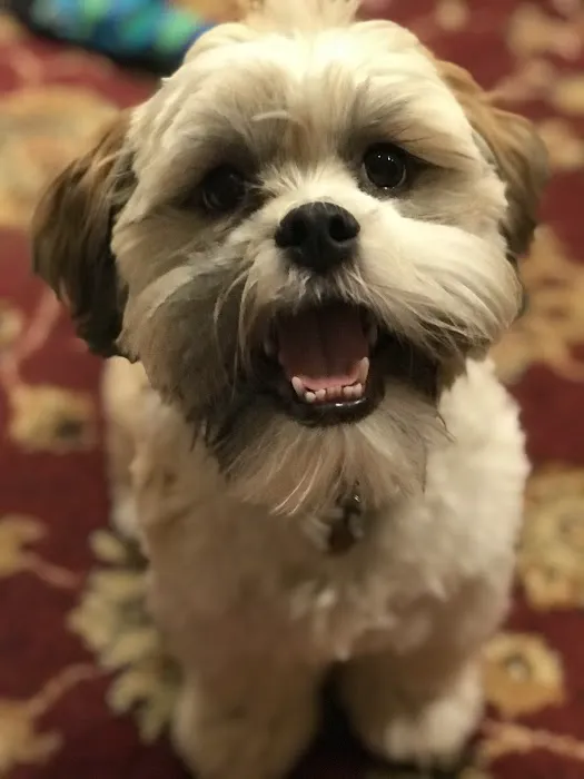 Arkansas Veterinary Clinic Picture 5