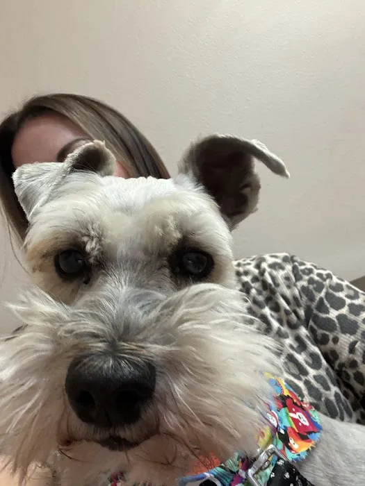 Arkansas Veterinary Clinic Picture 8