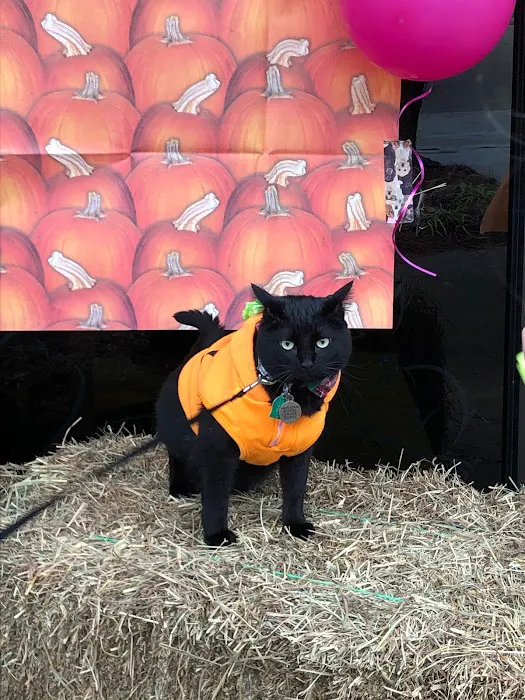 Best Friends Pet Clinic Picture 3