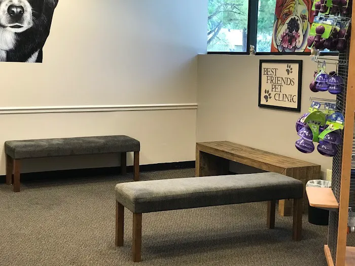 Best Friends Pet Clinic Picture 5