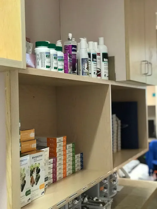 Best Friends Pet Clinic Picture 7